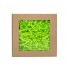 Wypełniacz a la sizzlePak papierowy PAK Zielony NEON 0,2kg + BOX