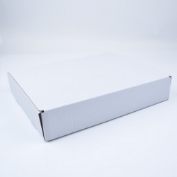Karton wysyłkowy laptop biały 410x340x75mm