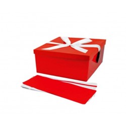 Pudełko składane 310x310x170mm XXL+ Czerwone