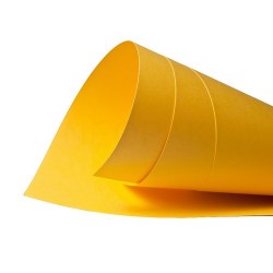 Brystol Ciemny Żółty 700x500mm B2